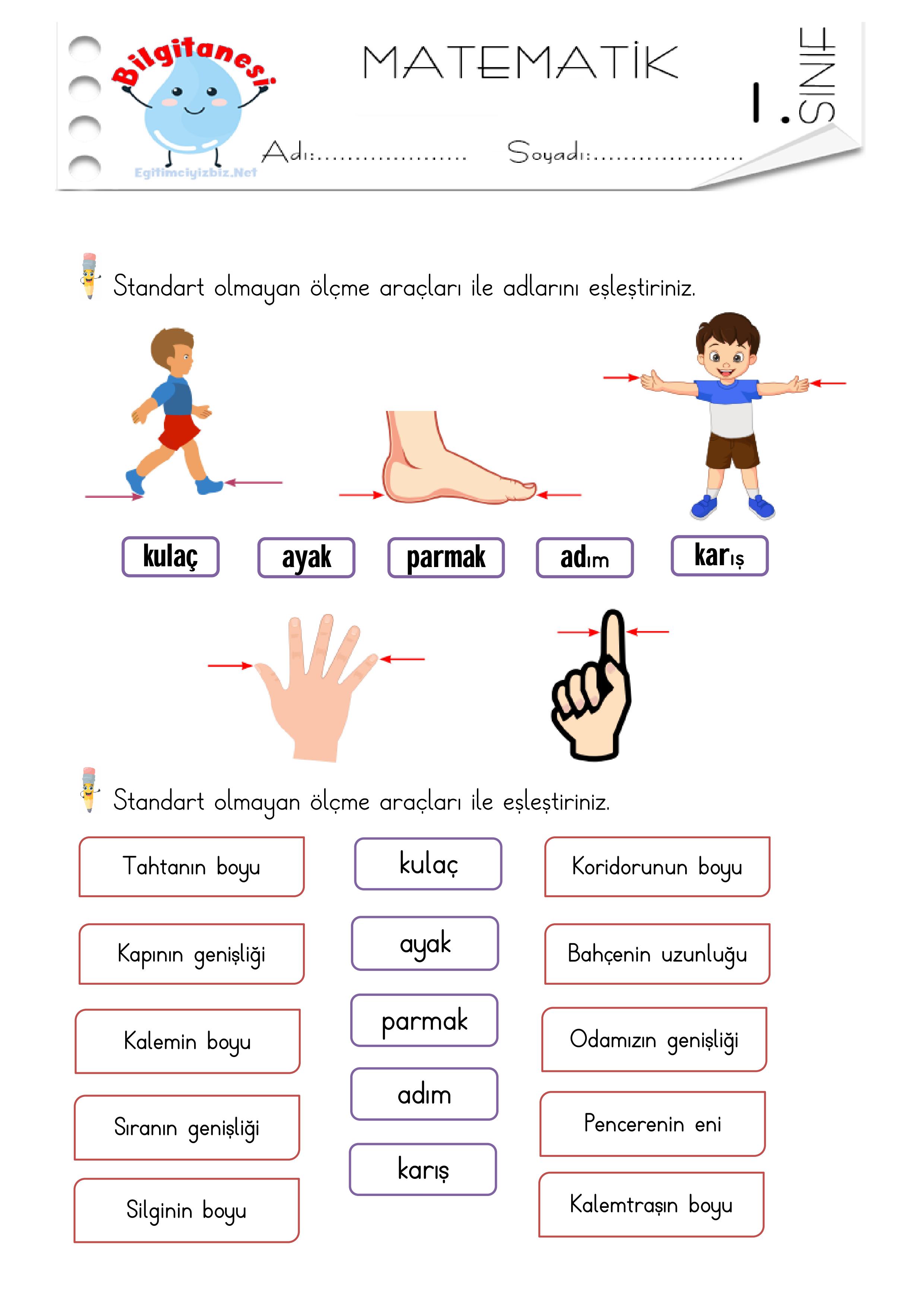 1. Sınıf Standart Olmayan Uzunluk Ölçme Etkinliği-4 (Maarif Modeli Uyumlu)