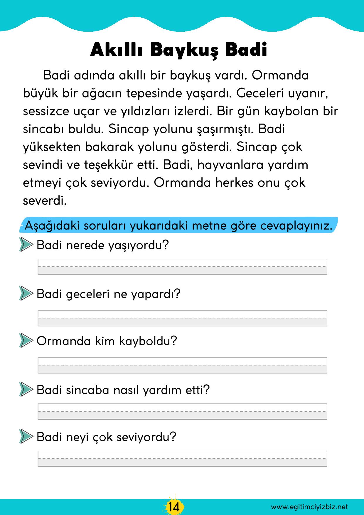 1. Sınıf Okuma Anlama Etkinliği-Akıllı Baykuş Badi (Maarif Modeli Uyumlu)